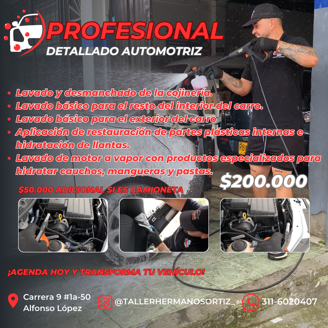Servicio Profesional